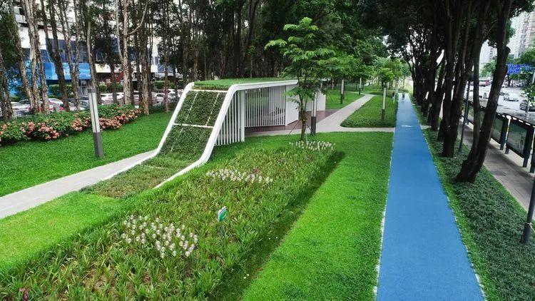 雨水收集系統具有巨大的生態和社會效益