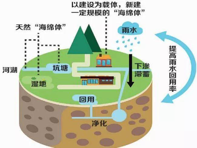 我們建造的“海綿城市”是什么樣的呢？