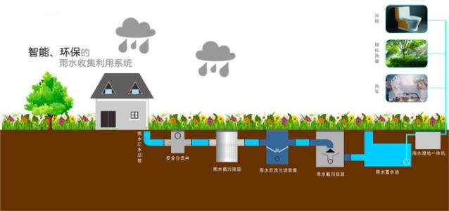 雨水收集起來有什么用呢？