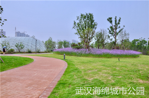 PDS虹吸排水系統與海綿城市的聯系