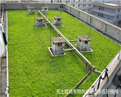 生態多孔纖維棉的問世為我國建設海綿城市提供支持